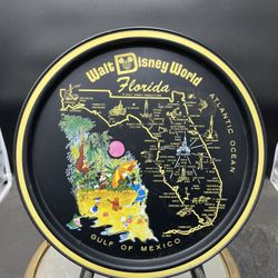 Vintage 1970's Walt Disney World Round Tin Metal Souvenir Florida Tray 10.5” VG