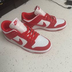 Nike Dunks 
