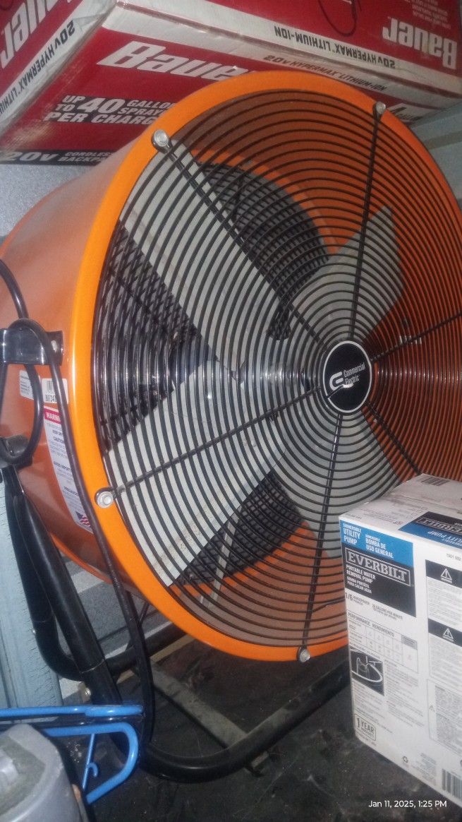 Fan