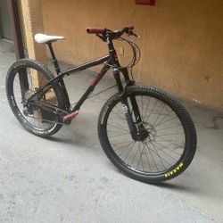 Mountain Bike 29 Ich 