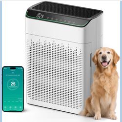 Air Purifiers for Home Large Room Up to 1690 ft² Double-sided Air Inlet Smart WiFi Alexa Compatible PM 2.5 Air Quality Monitor for Smoke and Odor 23dB