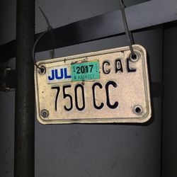 Decorative License Plate 