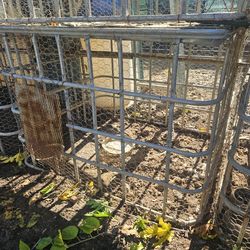 Galvanized Cages