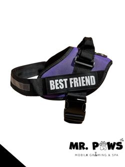 Pechera Para Perros/ Dog Harness