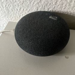 Google Speaker