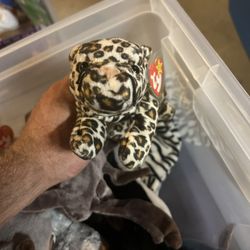 Freckles 2 Set Beanie Babies 