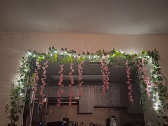 Wall decors and signs
