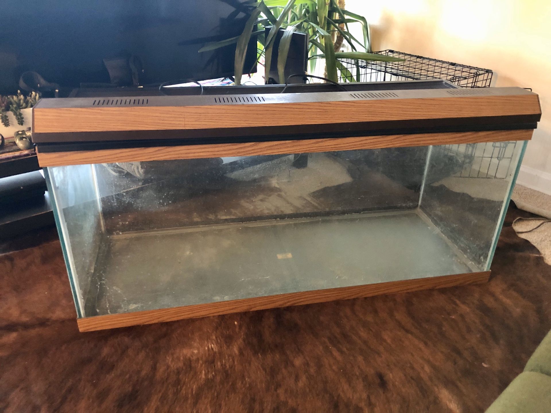 50 Gallon Fish or Reptile tank used in Great Condition $200