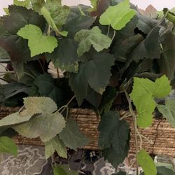 Wicker Basket With Fake Green Leaves