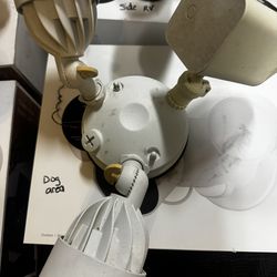 Used Unlocked Flood Light Ring Cameras