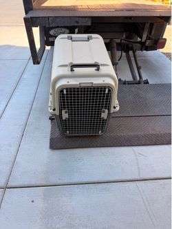 Large dog crate in good condition