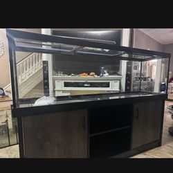 Fish Tank New Never Used 