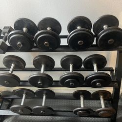 Dumbbells With Rack 