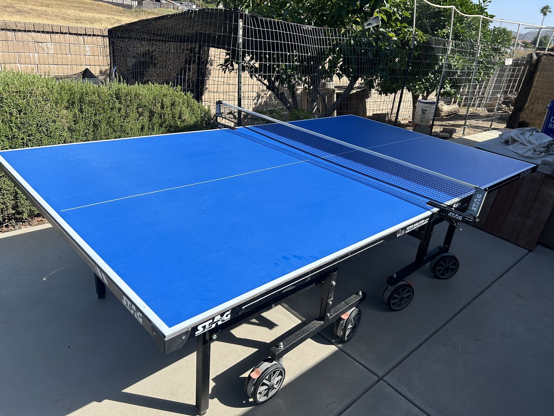 Ping Pong Table