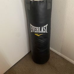 Everlast Hanging Punching Bag(70 lbs)