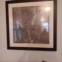Leaf Print Framed Picture