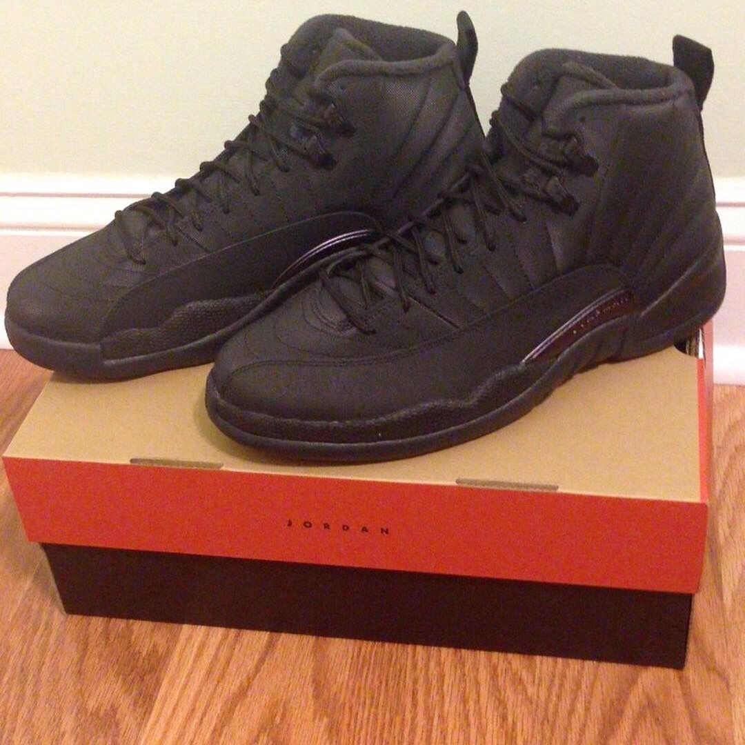 Air Jordan Winterized 12