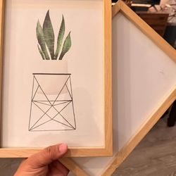Minimalist Snake Plant Framed Art Prints – Set of 2
