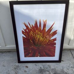 Framed art