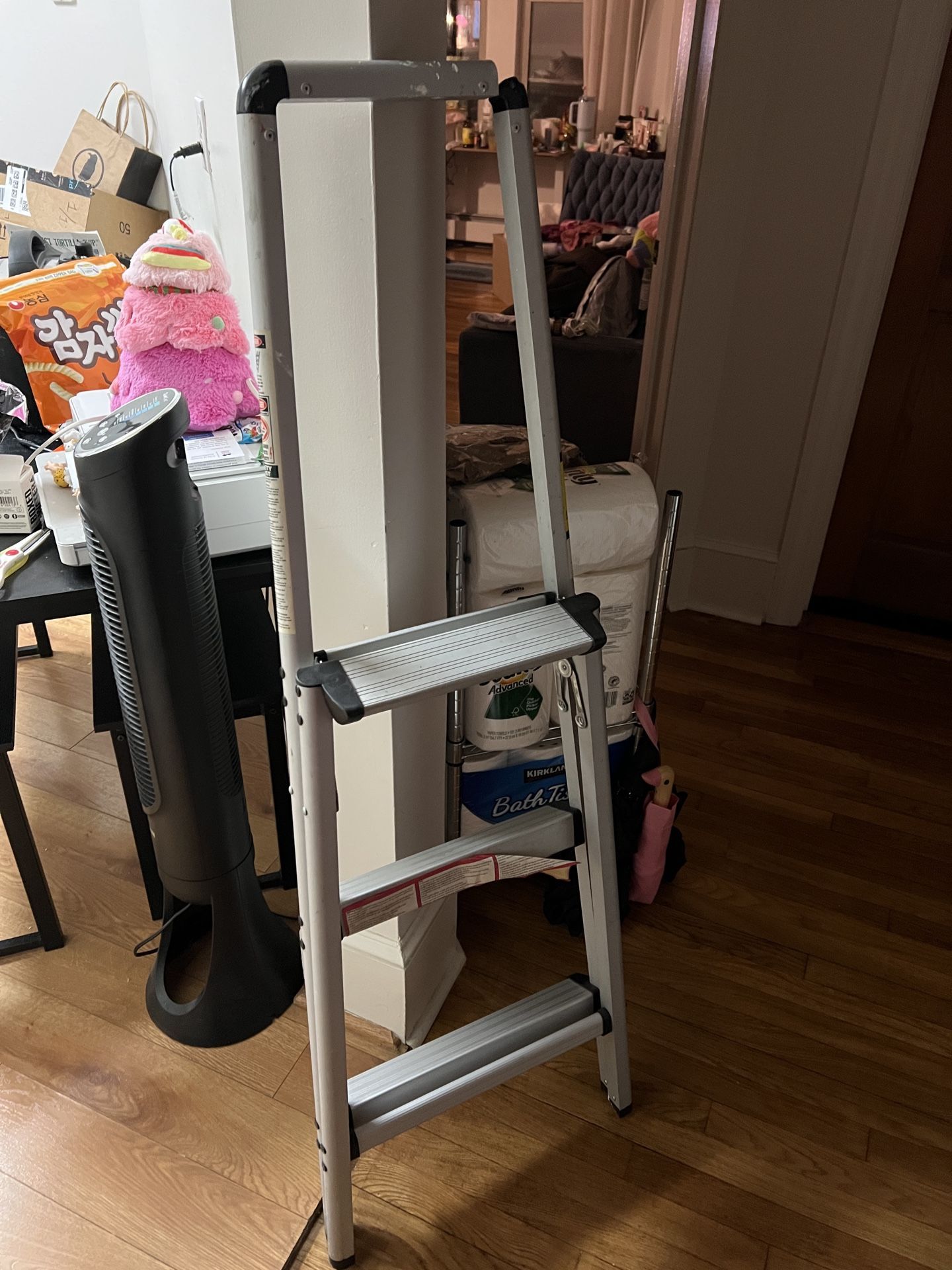 Foldable Ladder