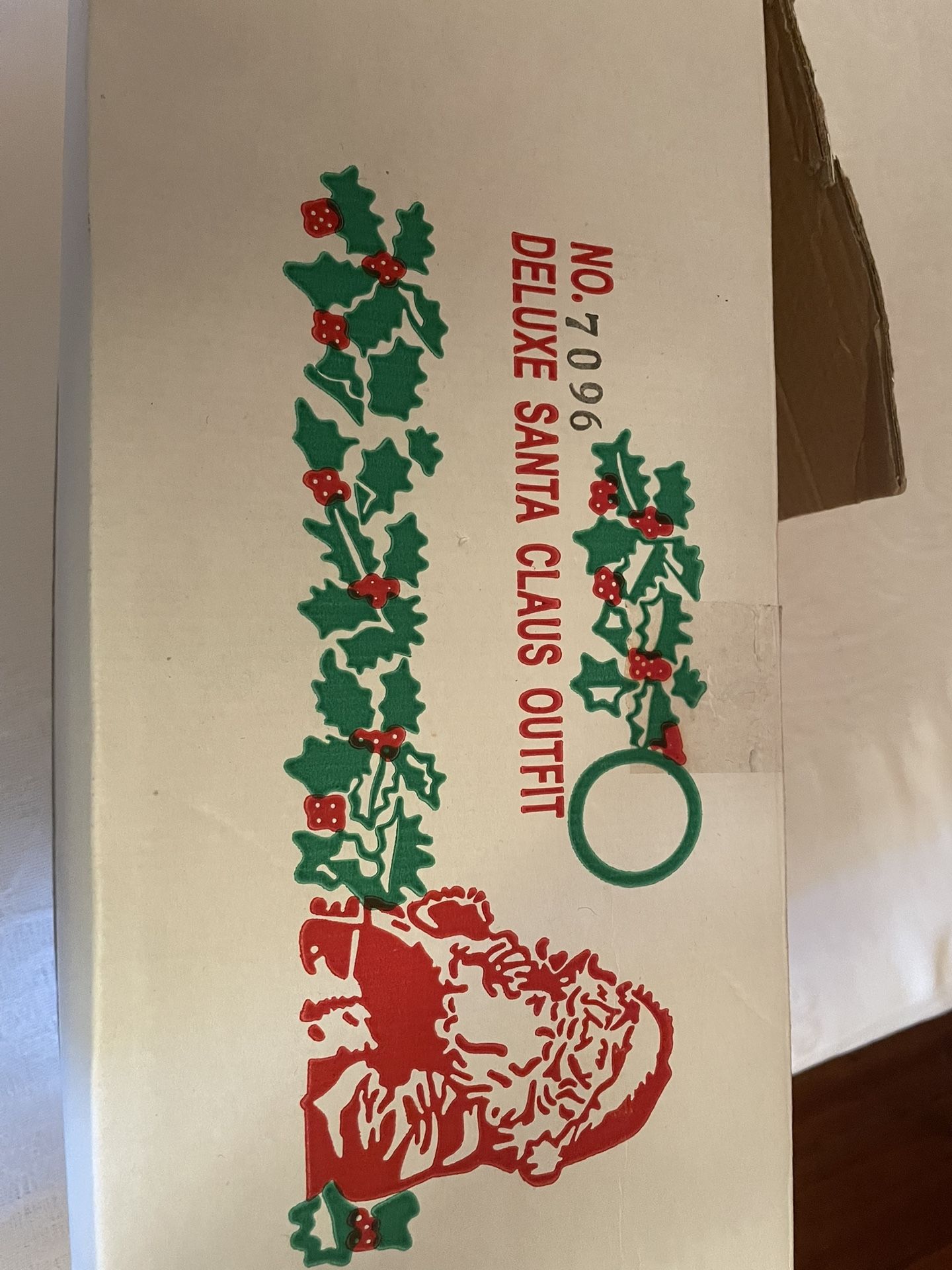 Professional Santa costume