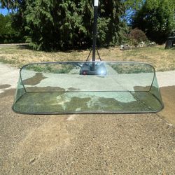 Seed Boat Glass 