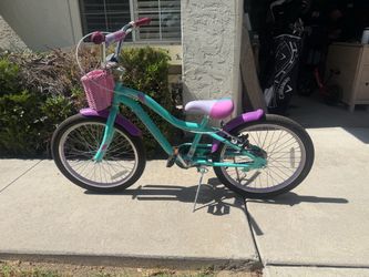 Schwinn 20” Kids Bike – with Basket