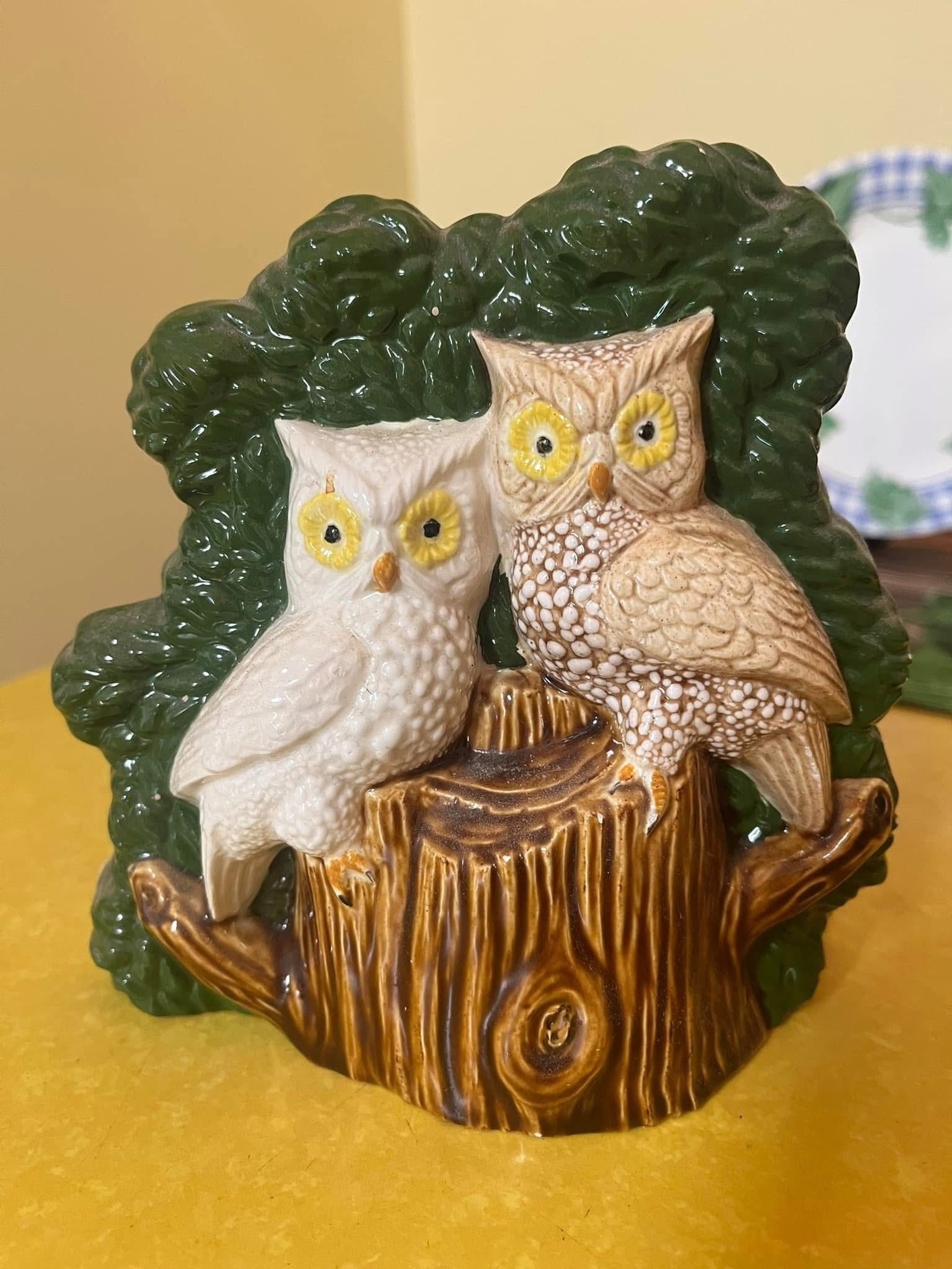 🦉 Owl Napkin Holder 