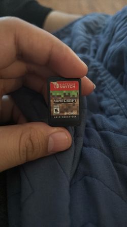 Switch Mincraft
