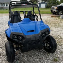 Mini Rzr Custom 300cc