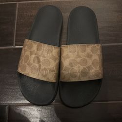 Coach Slides
