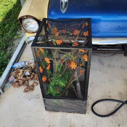 Chameleon Enclosure