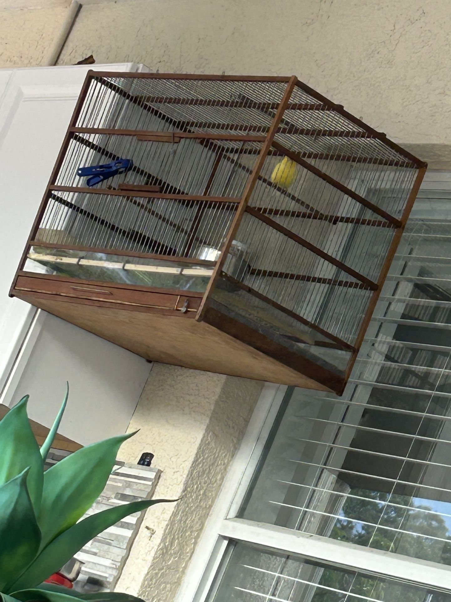Bird Cage