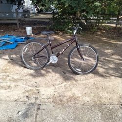 Nishiki Bike