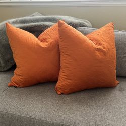 Decorative Embroidered Satin Feather Pillows 