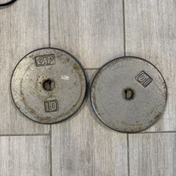 20 Lbs Total Standard 1” Cast Iron Weight Plate For Home Gym