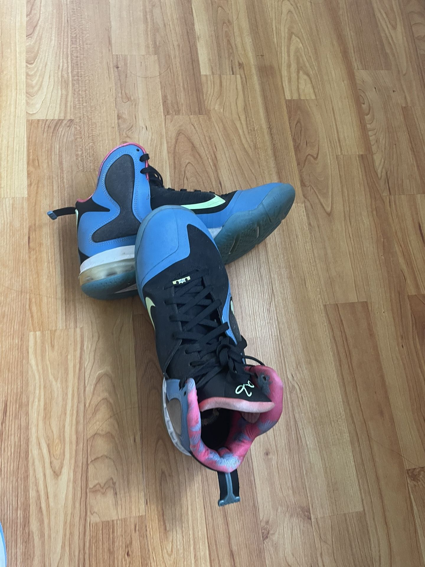 Nike LeBron 9 South Coast
