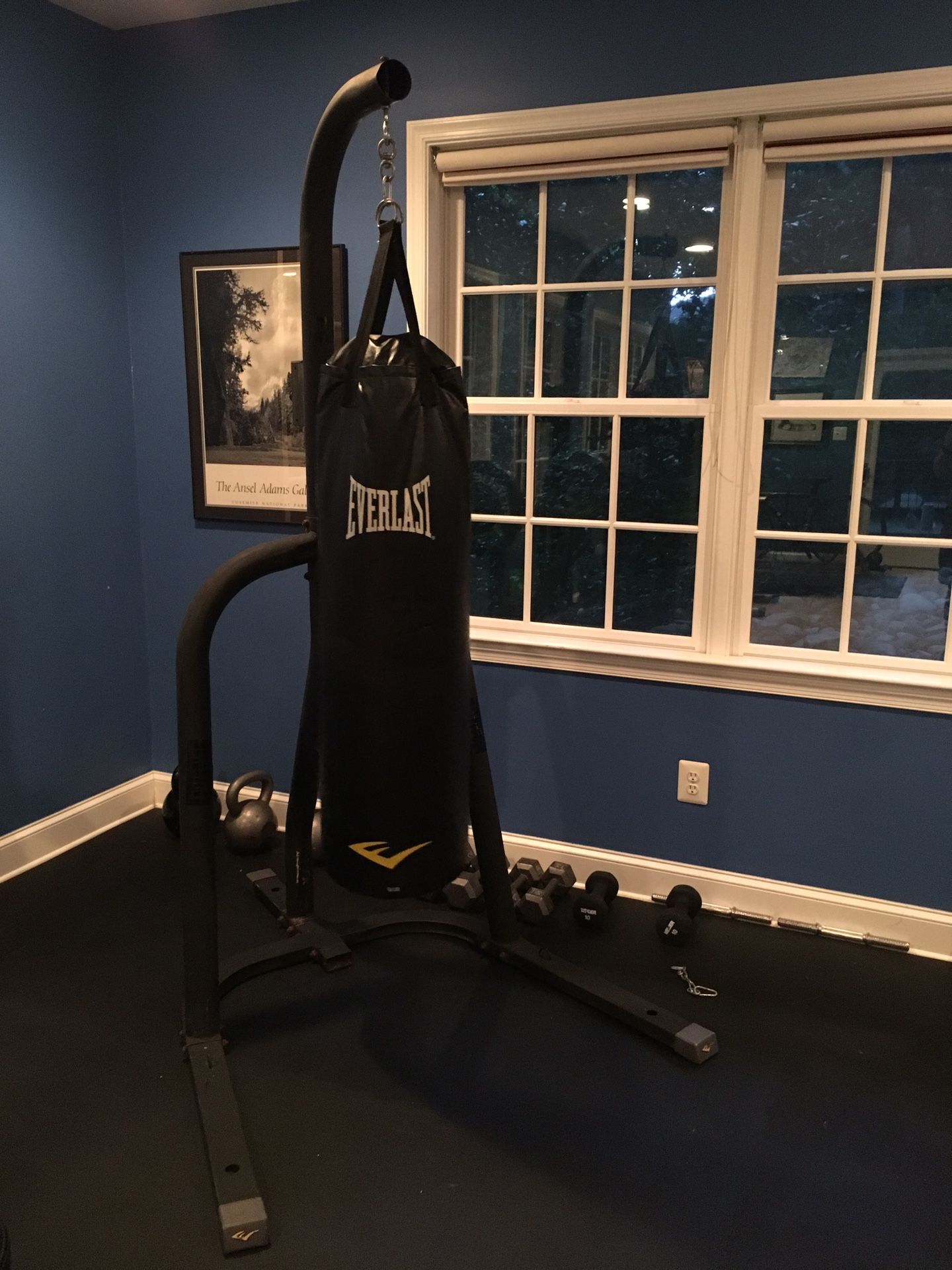 Everlast punching bag (100 lbs) and stand