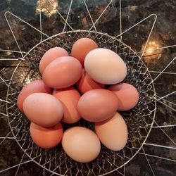 Fresh Eggs. $5