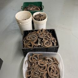 200 Horseshoes 