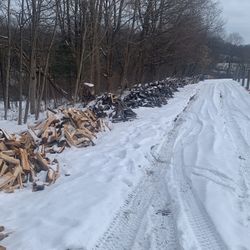 Seasoned Firewood 