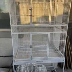 Bird Cage