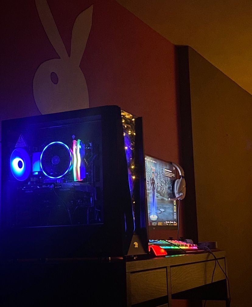 RX 6600 PC (iBuyPower Brand) & 75Hz Monitor (LG Brand)