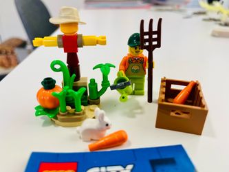 LEGO City Farm Garden & Scarecrow (30590) - complete set