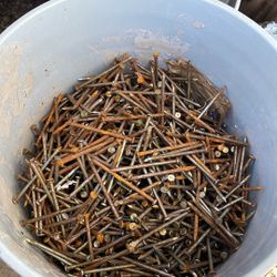 Free.  5 Gallons Bucket Of Nails. 