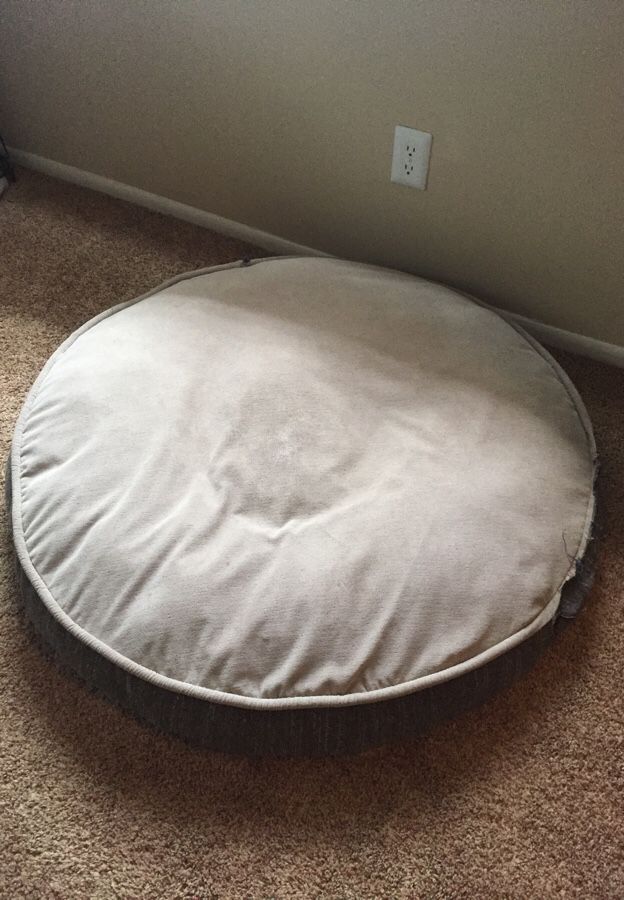 Large dog bed