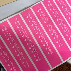 MtOlympus Water Park Wristbands 