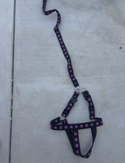 Large Dog Harness