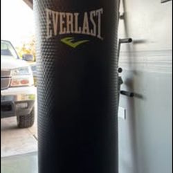 Everlast punching bag