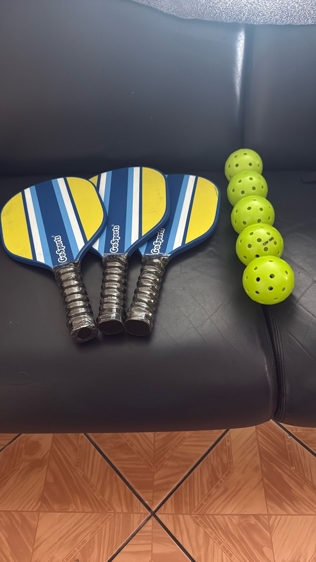 Free Pickle paddle And Balls 
